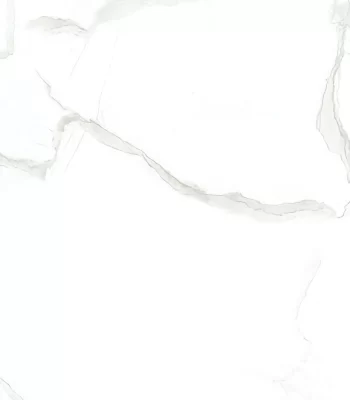 Delicato Glossy Polished White 12-in x 24-in Porcelain Tile