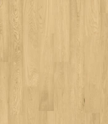 Golden Prime Old Engineered Hardwood Flooring – Oakel City