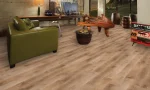 Coyote Storm Dynamix HardCore Fuzion Luxury Vinyl Flooring