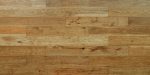Cinnabar Twelve Oak Contempo Engineered Hardwood