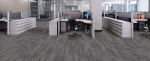 Emerson | Warsaw | Fuzion Carpet Tile - Image 2