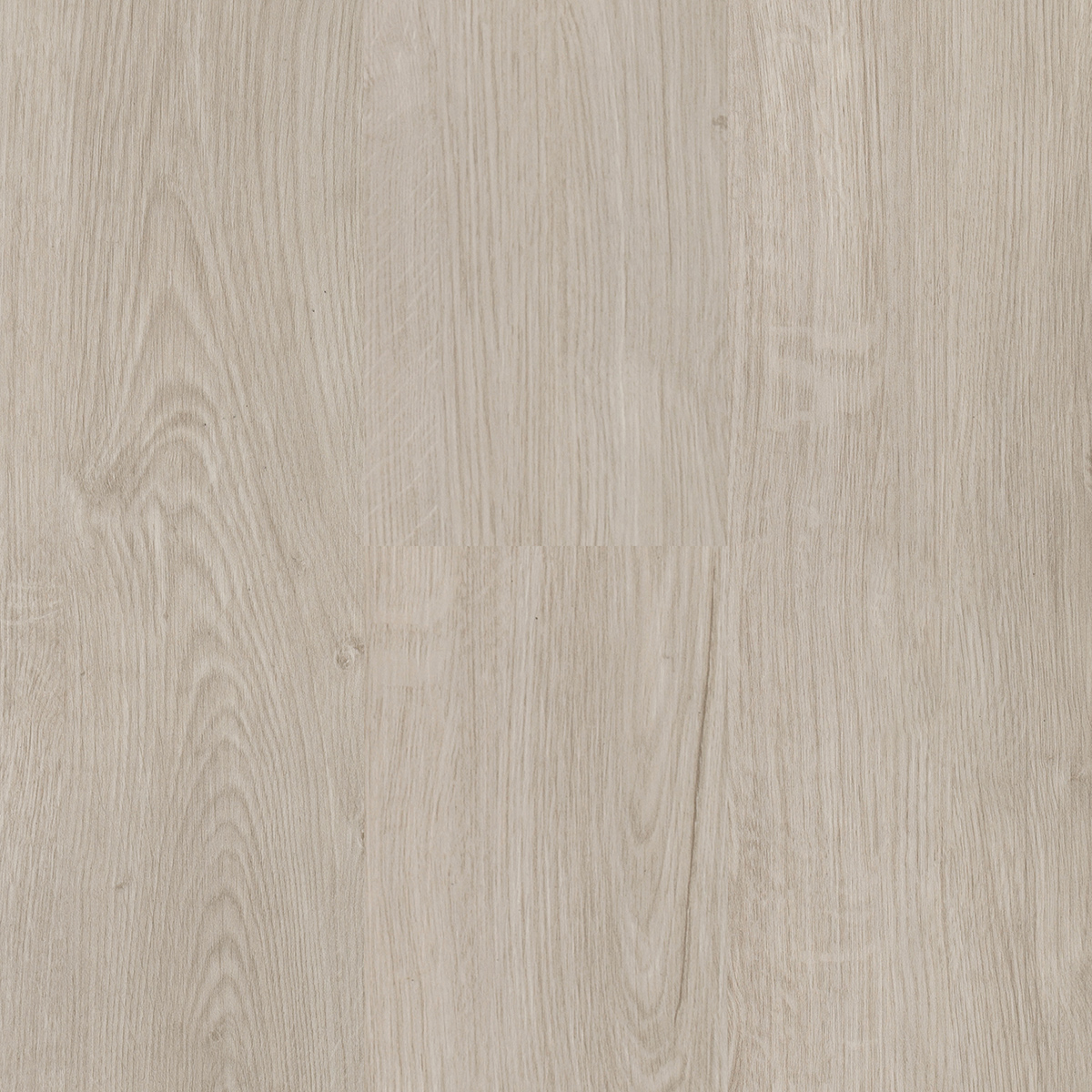 Medalist Daylight Oak Glue Down Vinyl Plank Next Floor