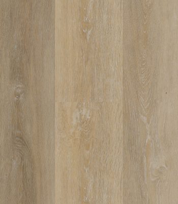 Marvelous Plus Sandy Shore Glue Down Vinyl Planks Next Floor