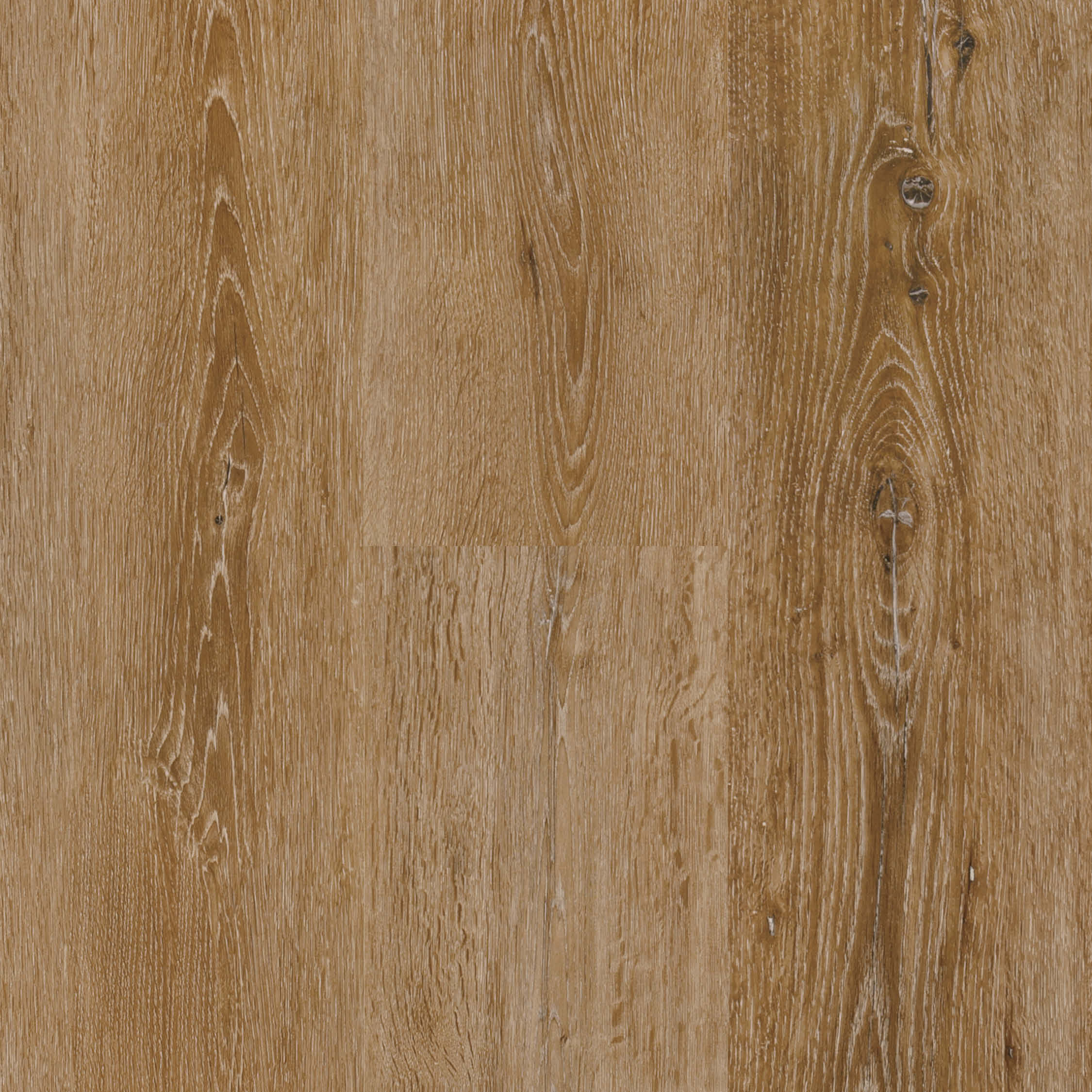 Regatta_303 009_HeritageOak_Swatch Next Floor Regatta Heritage Oak Laminate Flooring