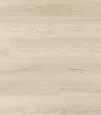 Cold Foam Twelve Oak Foundation 2520 Dryback Glue Down Vinyl